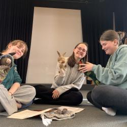 Figurentheater; Puppen tanzen