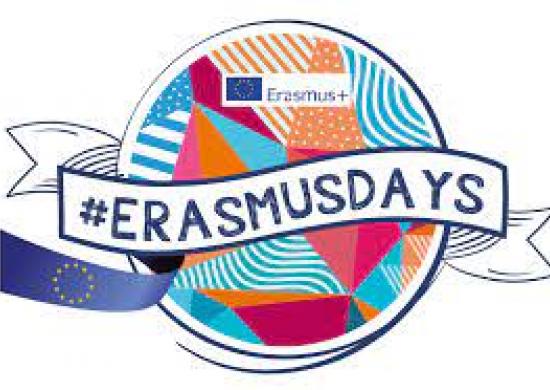 Erasmus, Projekt